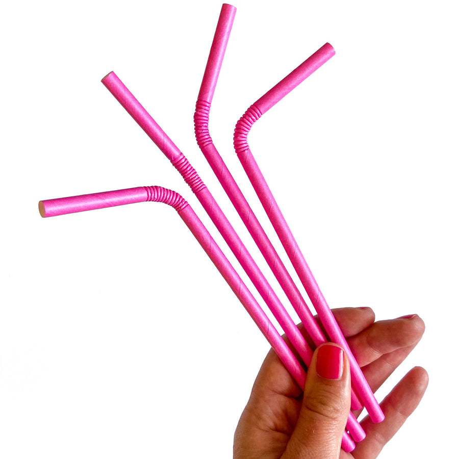 Hot Pink Checkered 25pc Paper Straws